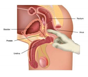 prostaat orgasme anale seks